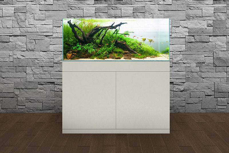 既存水槽のメンテナンス